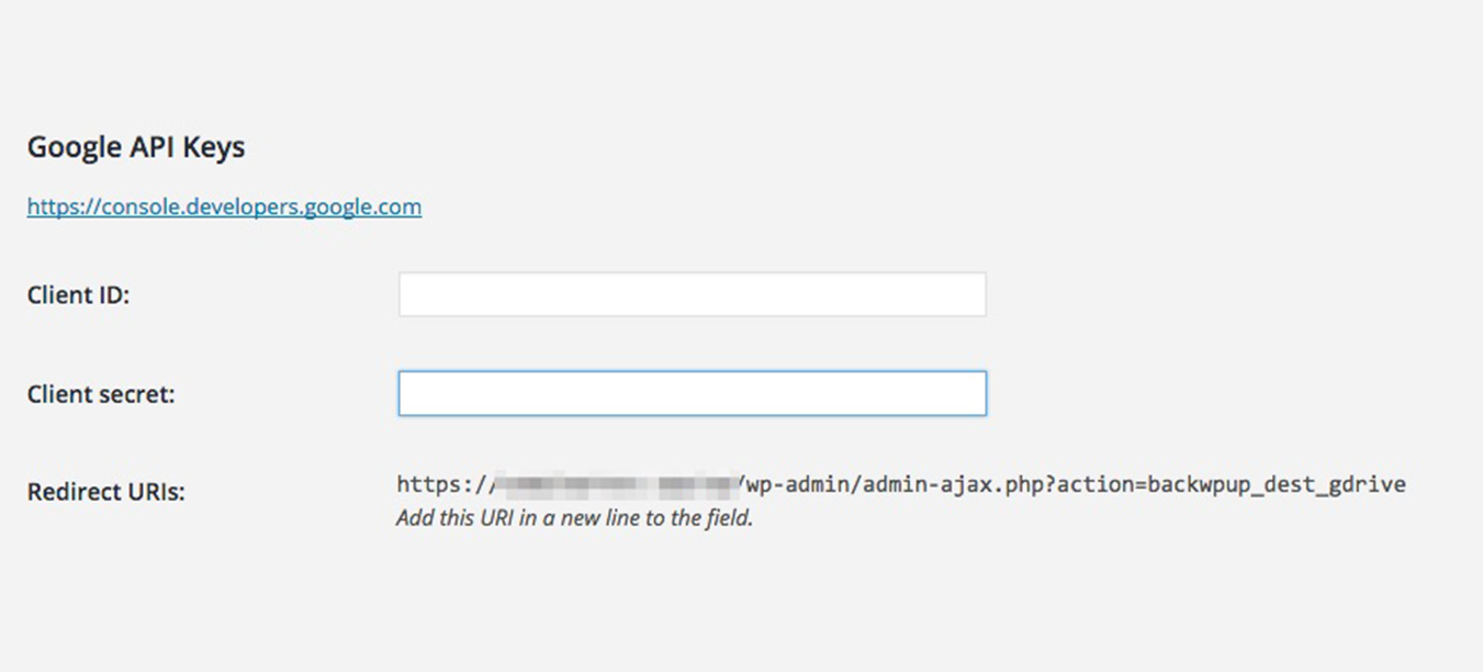 BackWPup → Settings → API Keys and there to the section Google API Keys
